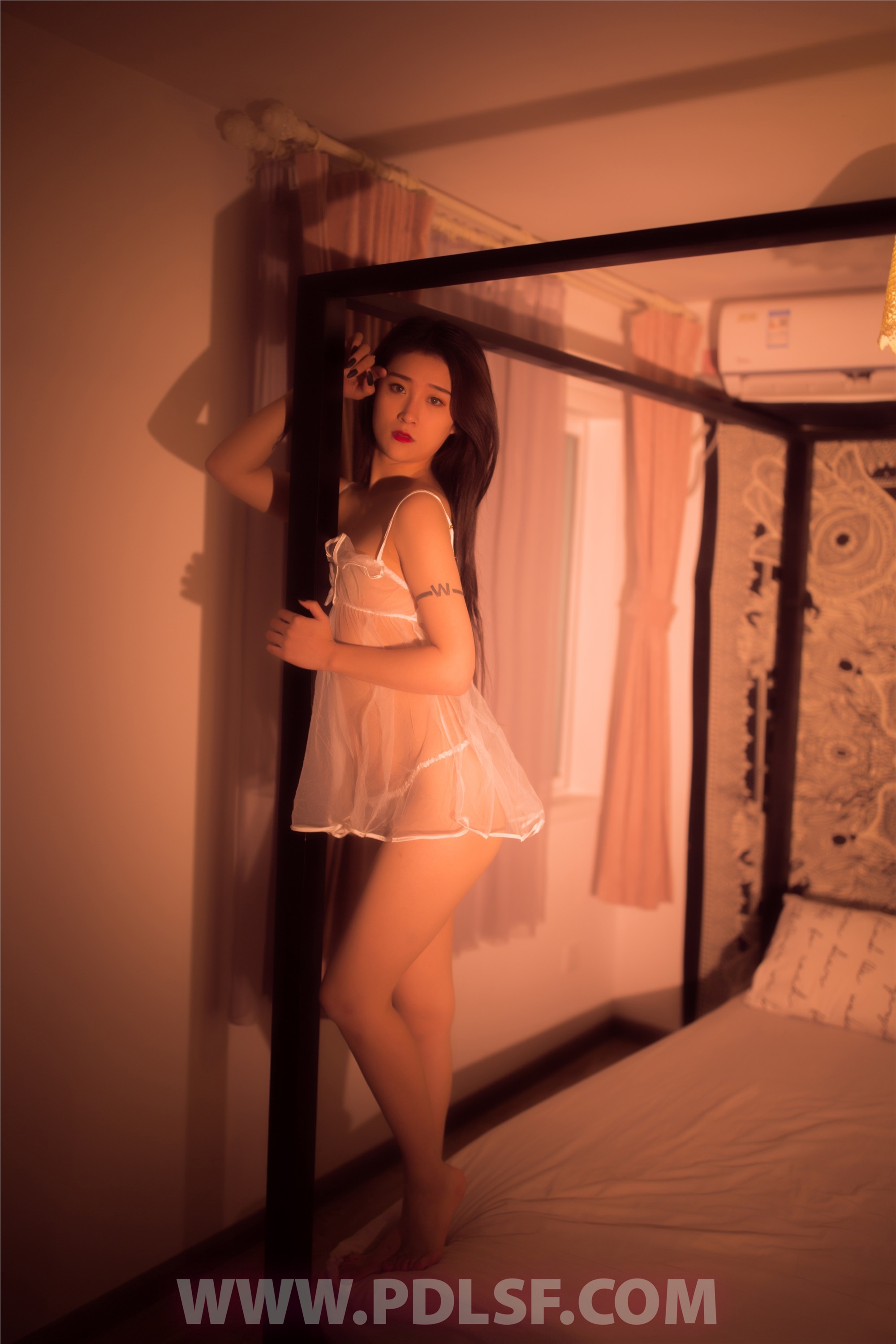 PDL潘多拉 2019.12.17 专辑No.254